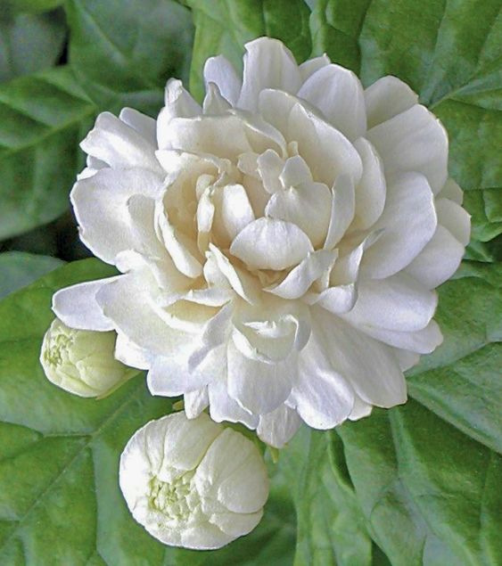 8ad091d4b951d321d36006f98c84f21f