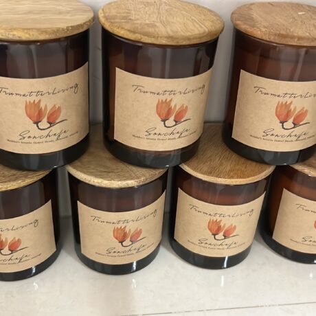 F70F1A07-59A6-4651-88CB-16911DE0AB5E (3)